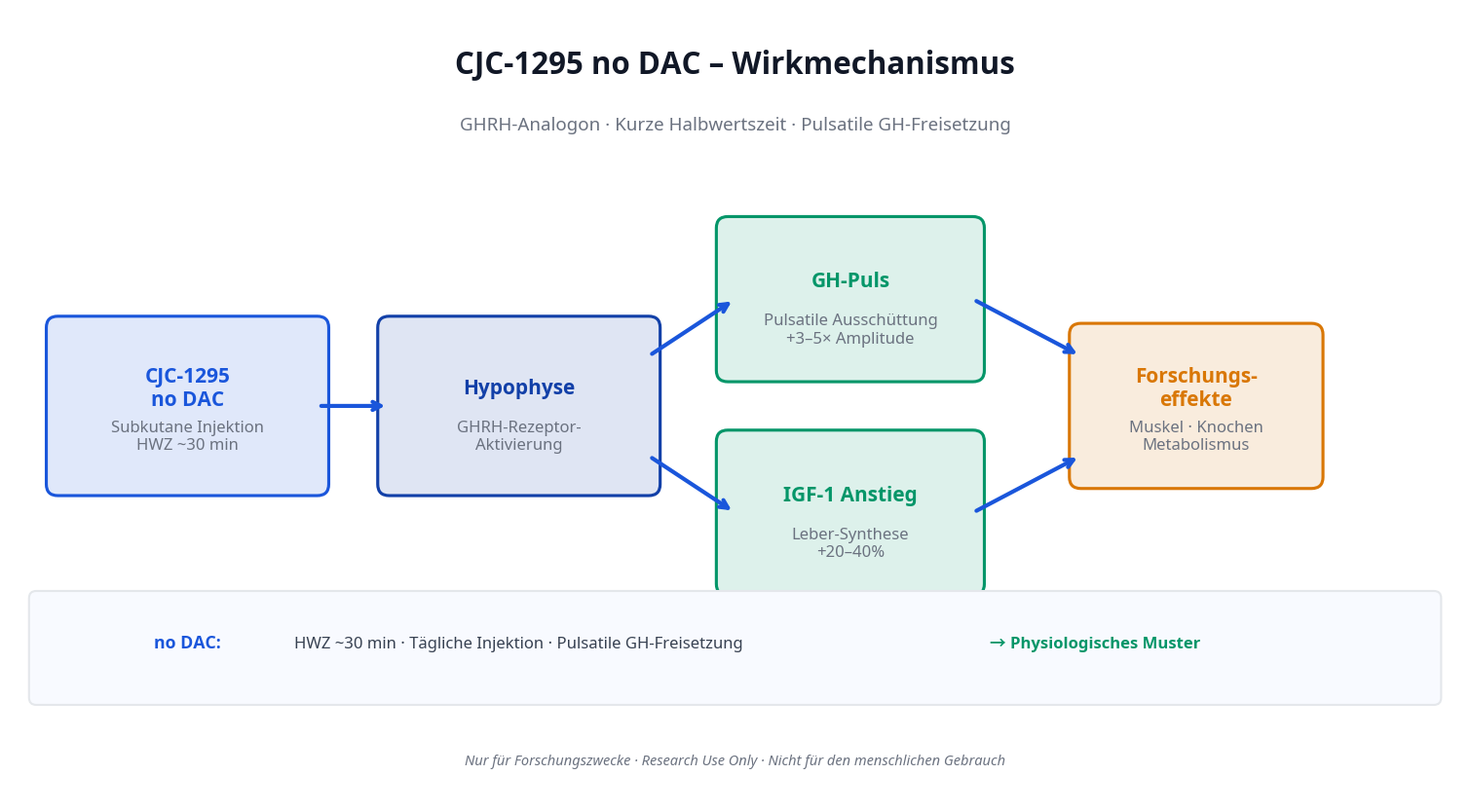 CJC-1295 no DAC Wirkmechanismus